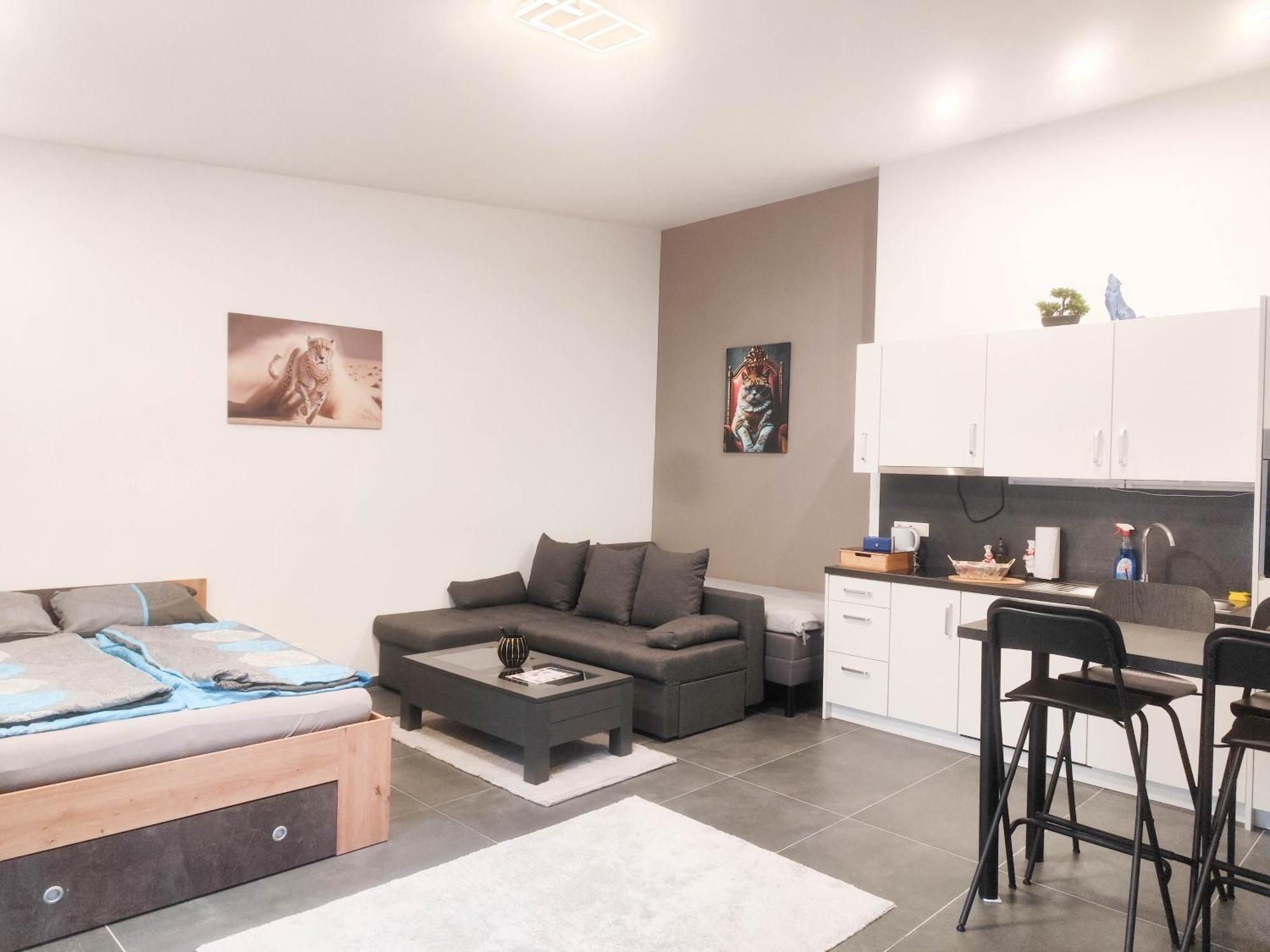 Cozy Apartments In Central Location With Free Parking ウィーン エクステリア 写真