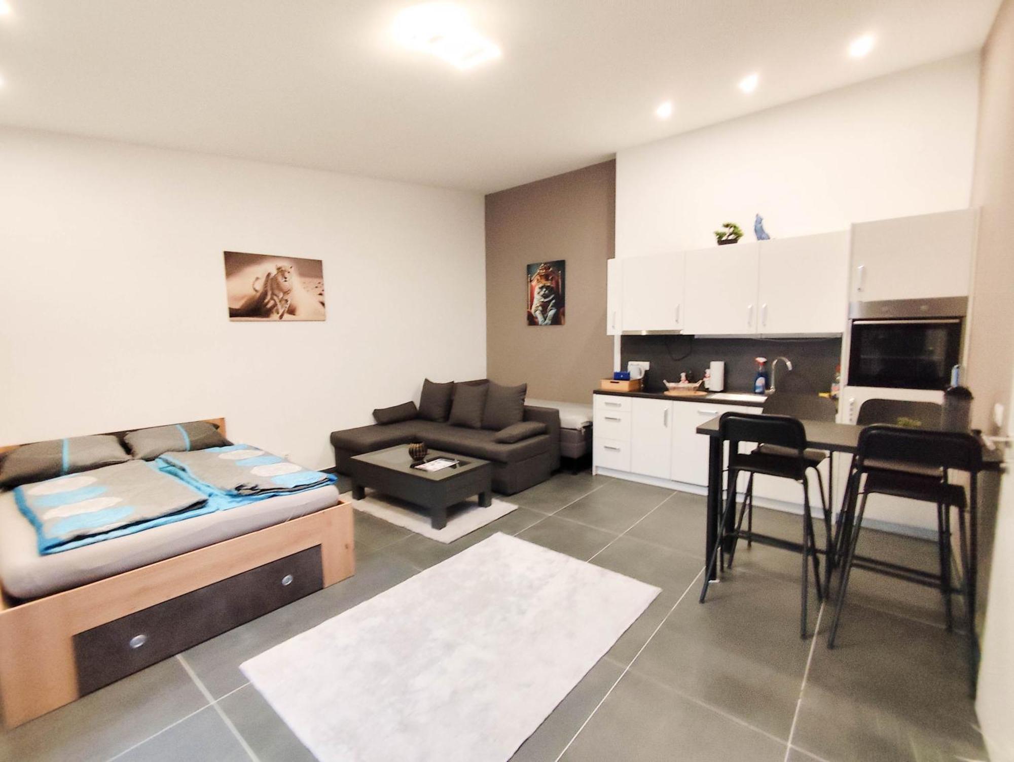 Cozy Apartments In Central Location With Free Parking ウィーン エクステリア 写真